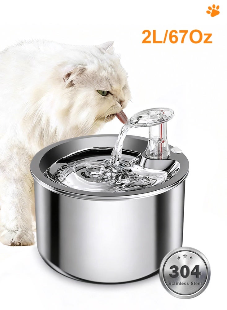 LAPET 2L Cat Water Fountain, 304 Stainless Steel, Automatic Pet Water Dispenser with Ultra-Quiet Pump with Filters - Image 1